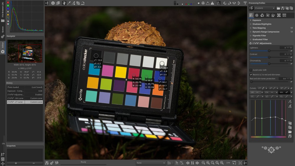Raw Therapee Photo Processing Software, Image Editor, MacOS & Windows, USB/DVD