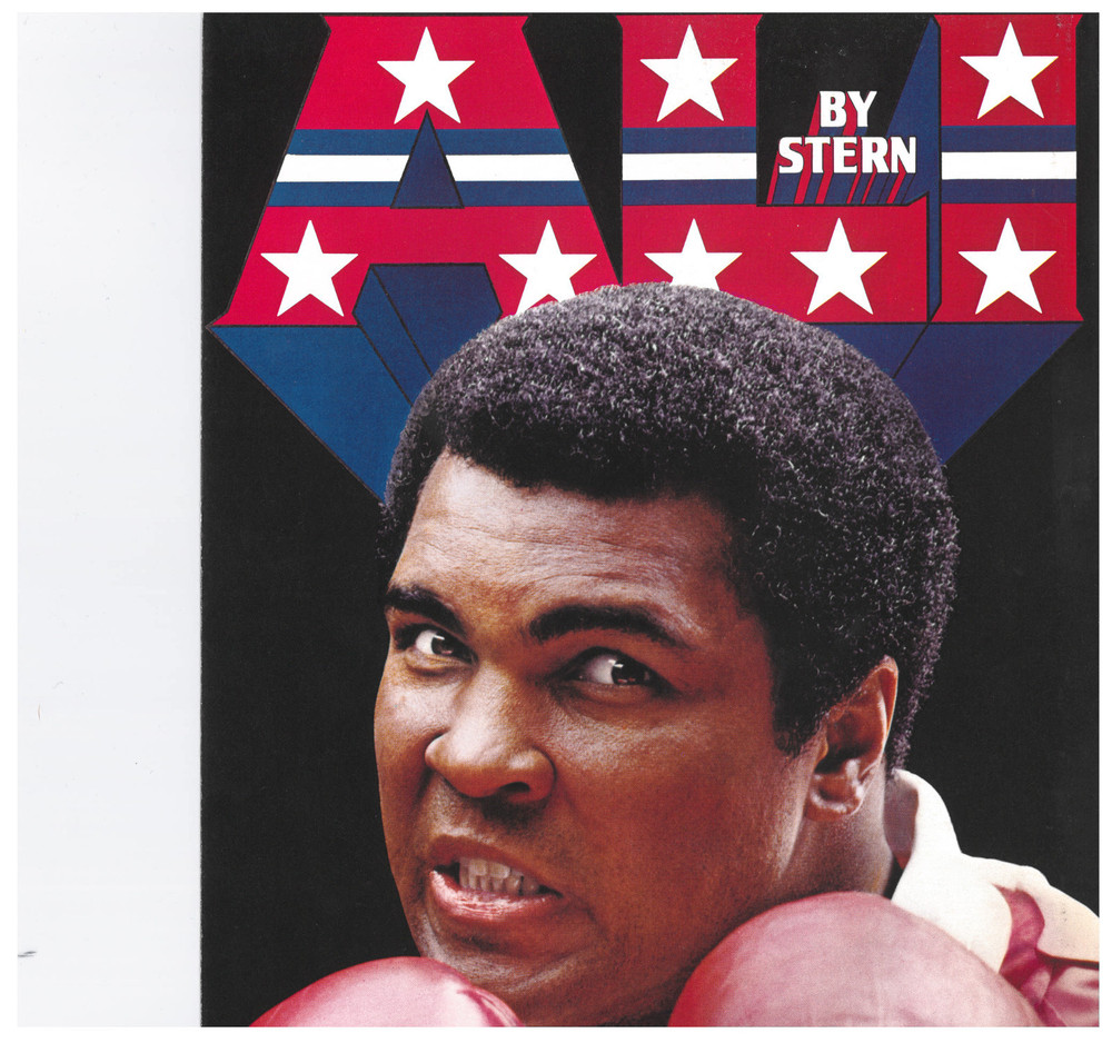 Ali Stern Pinball Flyer / Brochure / Ad - Mint Condition