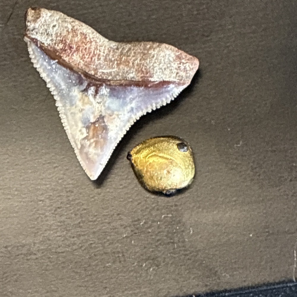 Gold nugget with small iron deposits