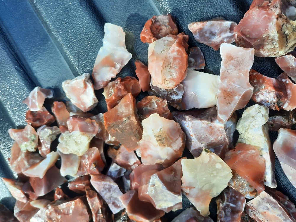 Pigeon Blood Agate 8+ Lbs. Rough Lot!