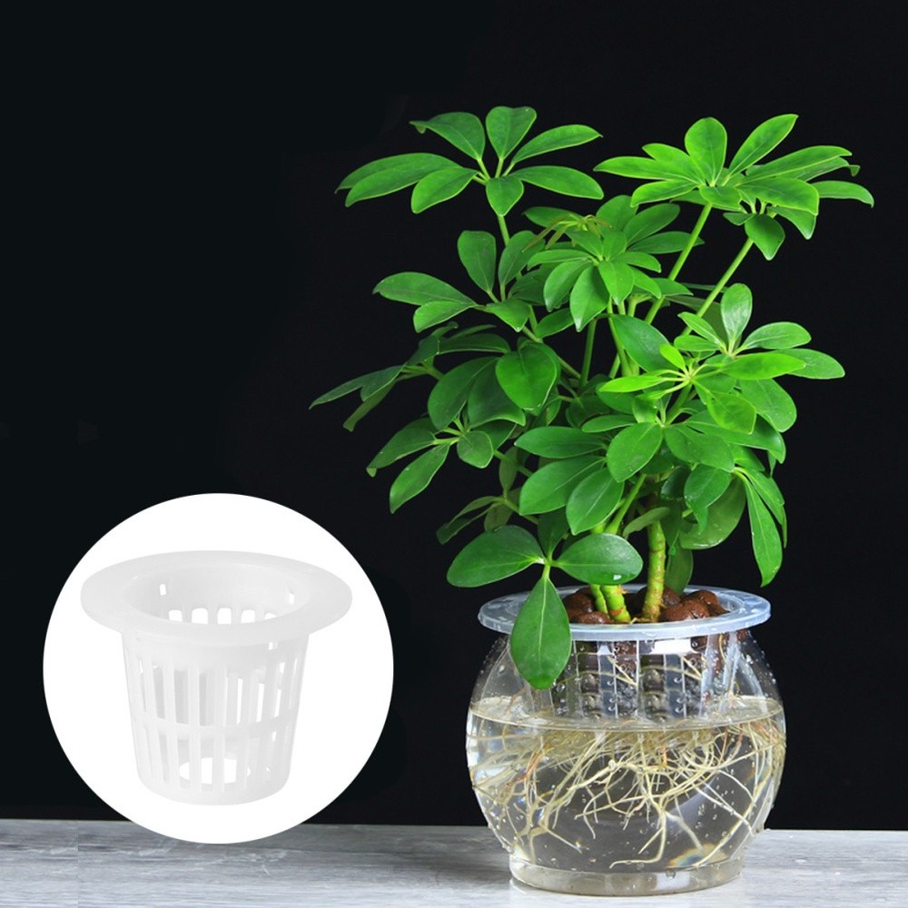 50 Pcs Root Fixer Net Cup Pots Hydroponic Hydroponics Growing Baskets