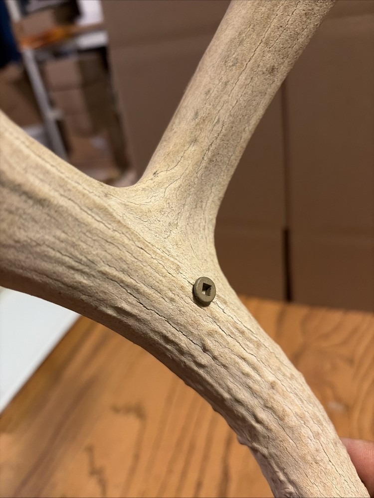 Large Antler Shed See Photos