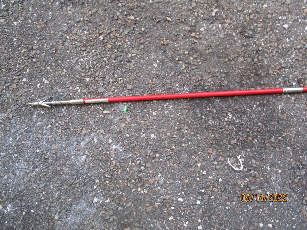 Sports Divers Spear 55"