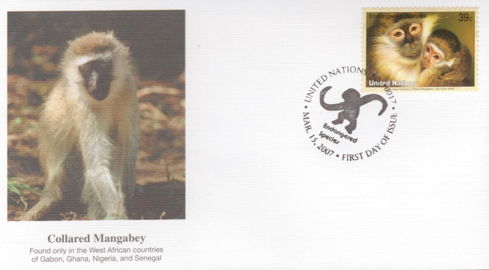 UN Issued Endangered Species = Primates = Collared Mangabey