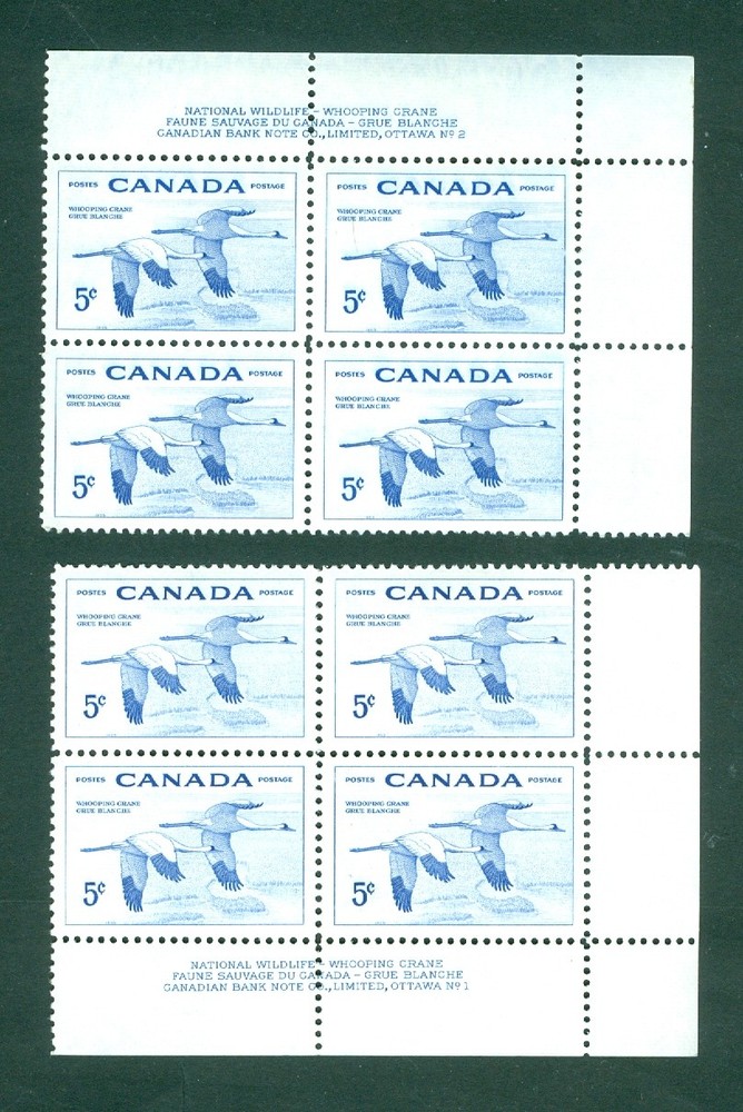 Canada. 1955. 2 Diff. Plate-Blocks. Mnh. Upper/Lower. "Whopping Crane". Sc# 353