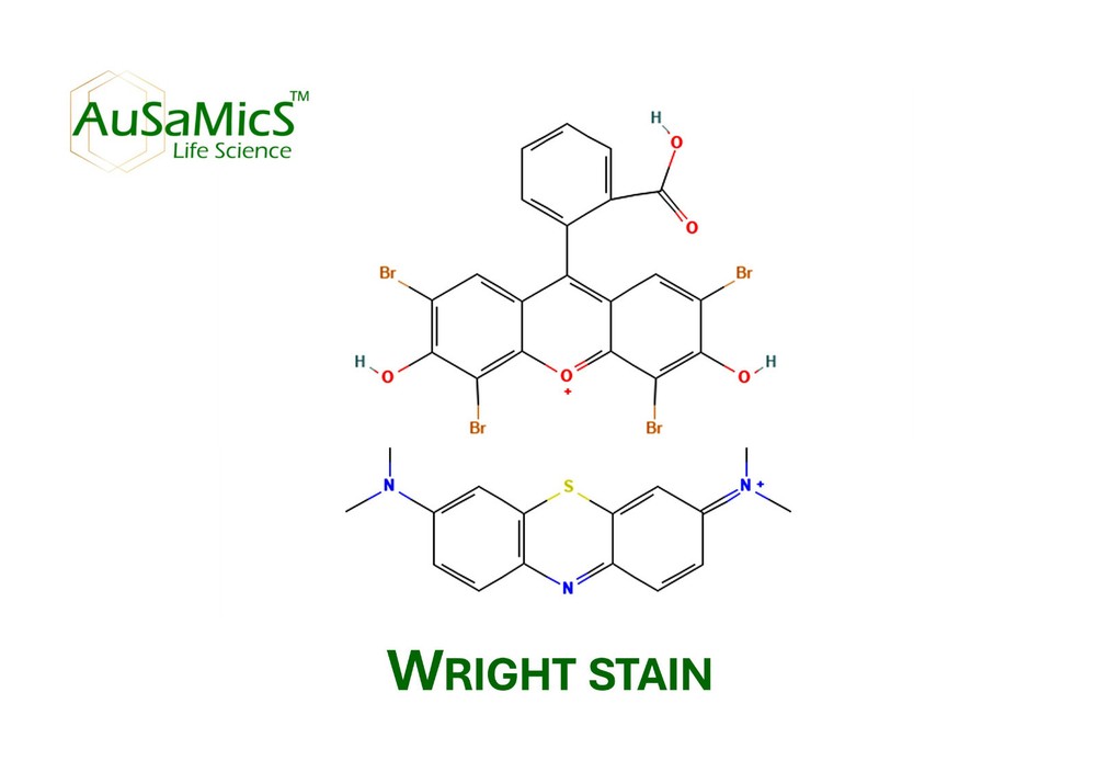 Wright Stain CAS: 68988-92-1, For Laboratory Use Only