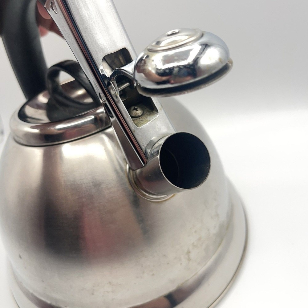 Pykal Stainless Whistling Tea Kettle Designed In Germany