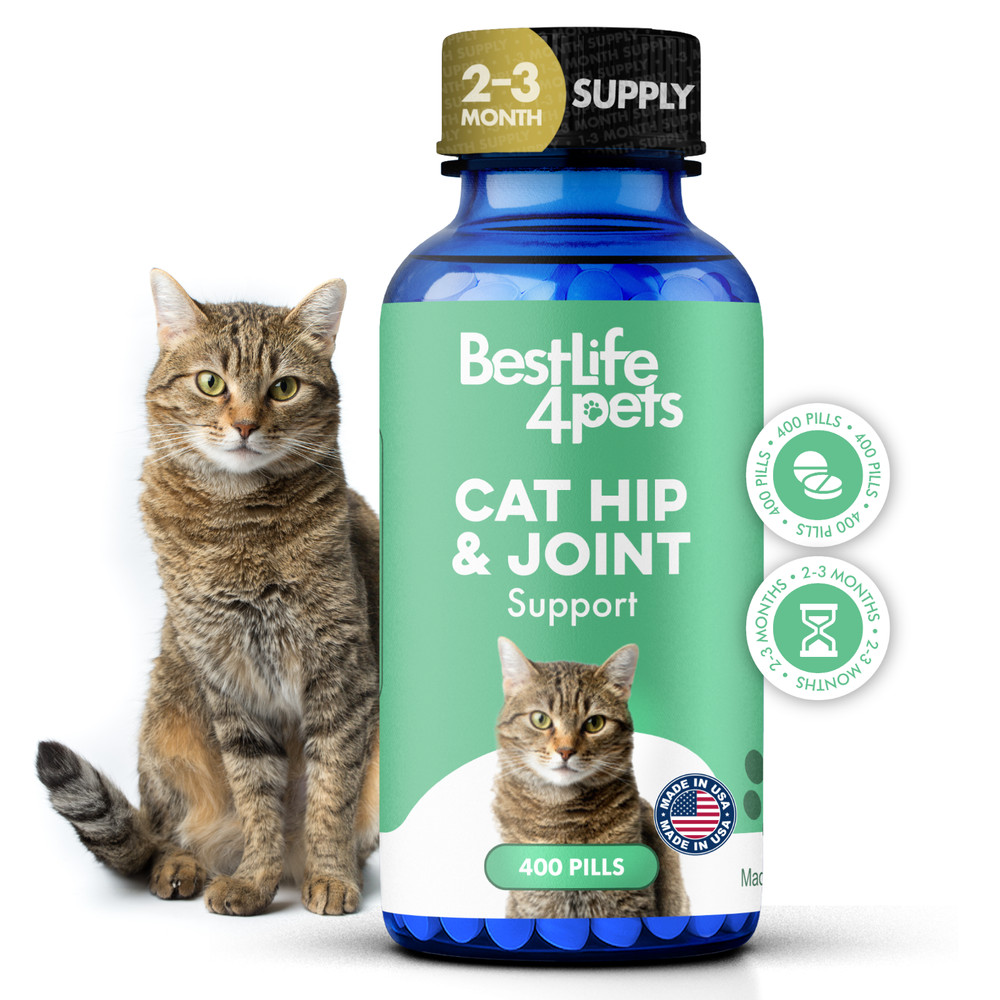 Cat Hip and Joint Pain Relief Supplement