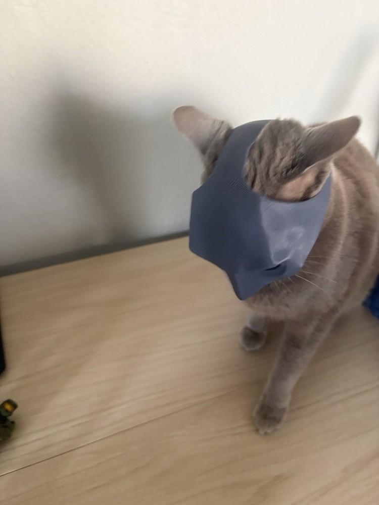 Batman Mask for Cats- Black