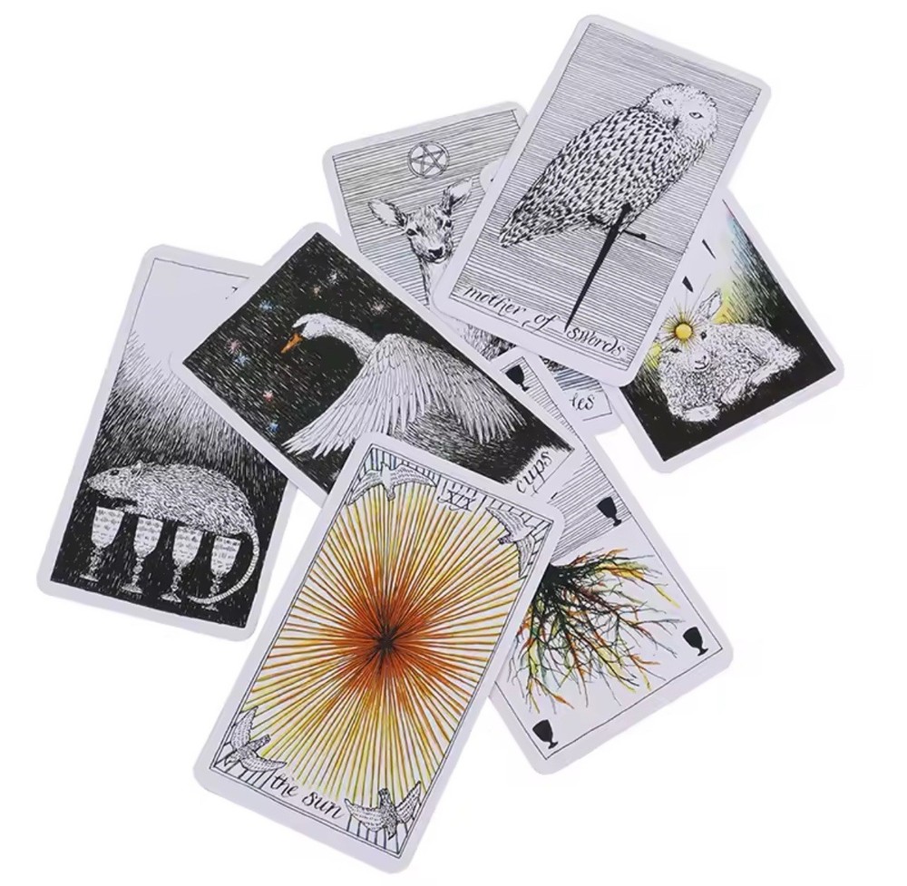 The Wild Unknown Tarot