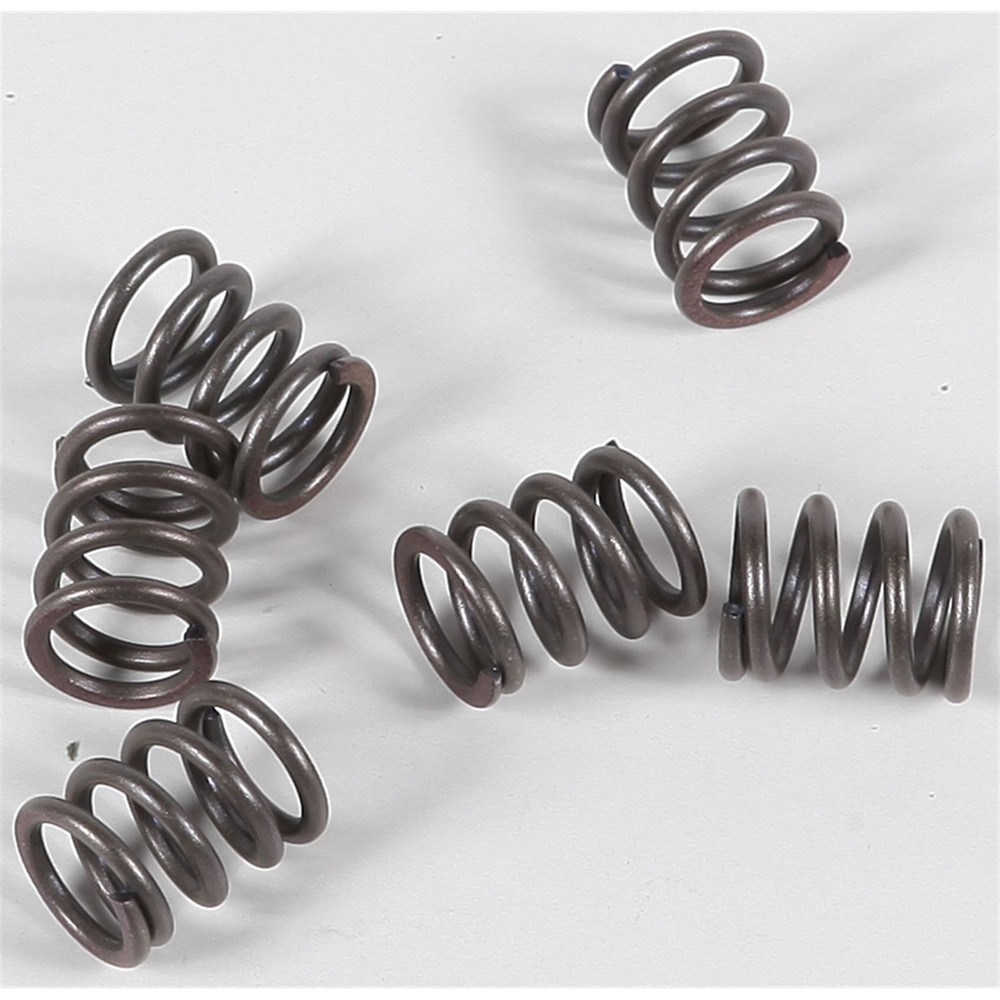 EBC Brakes Clutch Springs CSK21