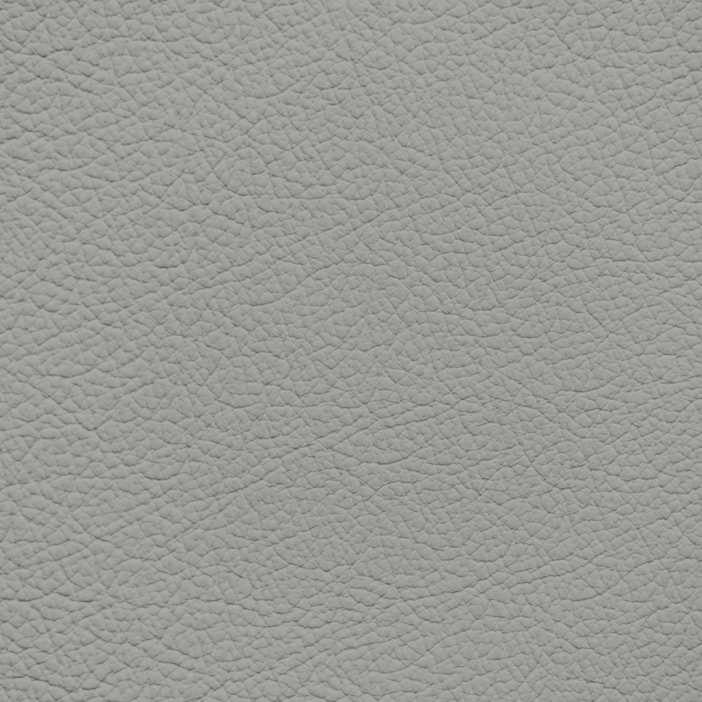 Ford/Lincoln/Mercury Light Graphite Leather Dye