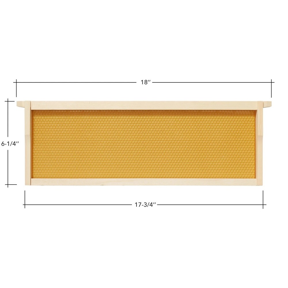10 Assembled Beehive Frames, Coated Beeswax Foundations for Beekeeping, 6-1/4"