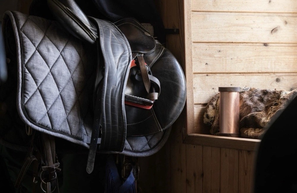 Qi Shield EMF Protection by WaveGuard