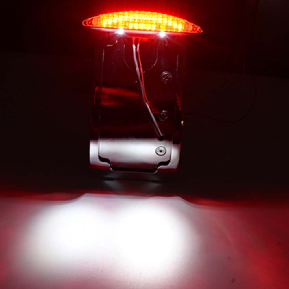 Motorcycle Curved Side Axle Mount License Plate Assembly LED Tail Light BLACK