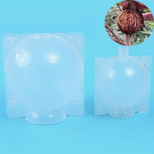 Garden Fruit Tree Plant Rooting Ball Root Growing Boxes Case Grafting Rooter CB1