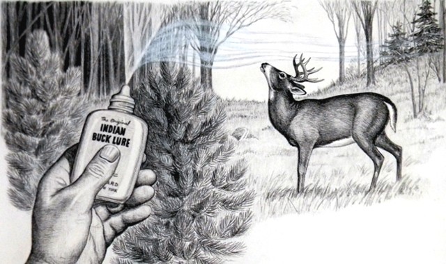 4 oz Candle Scent Oil-BUCK LURE