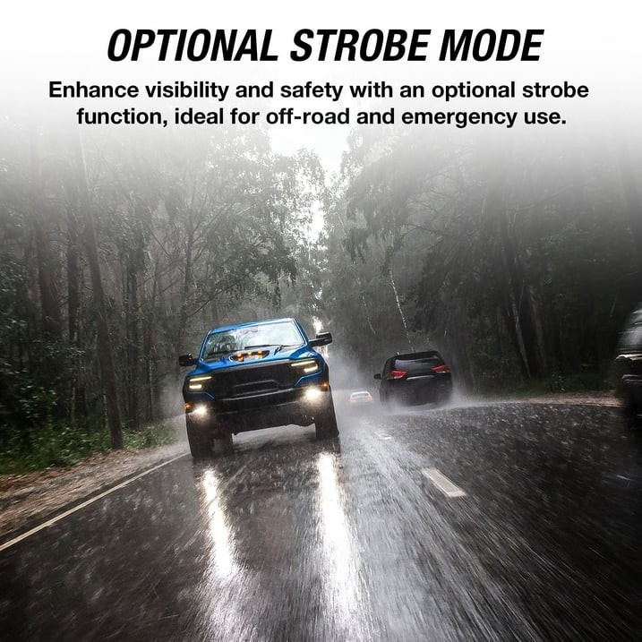 TYPE S - Elevate 2-Light Output Wiring Harness - Wireless Remote or Wired Contro