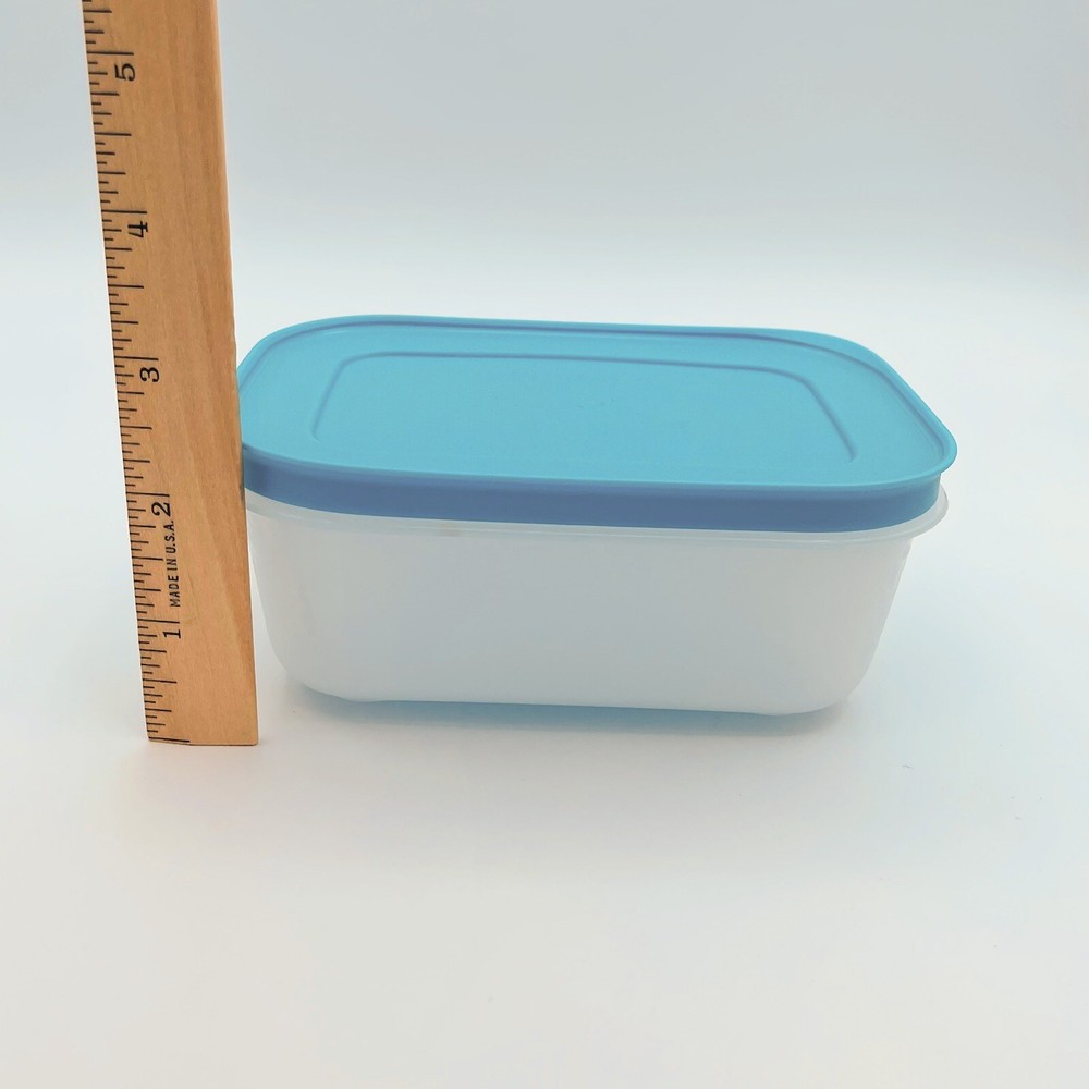 2 Plastic Tupperware Container for Freezer 450ml & 1.1 L Blue Covers