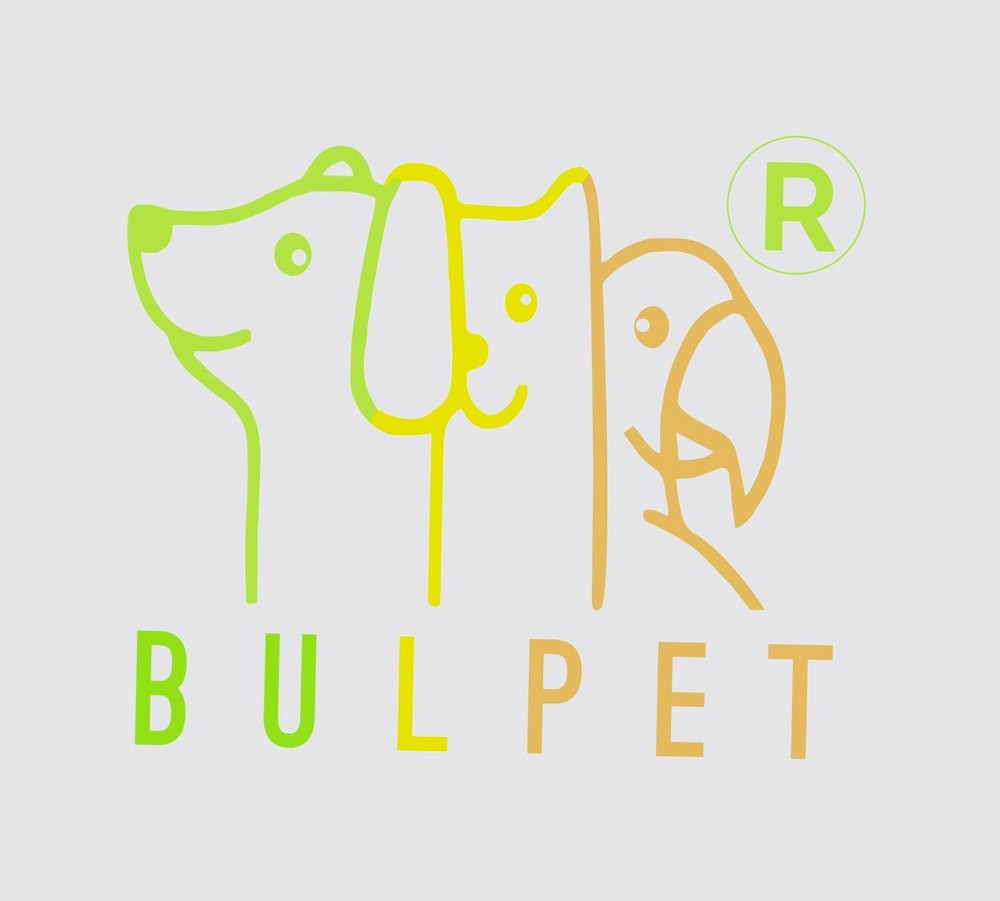 BULPET Dog Bed Cat Mat With Training Interactive Toys For Small Medium Pets