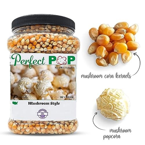 Concession Essentials Premium Gourmet Mushroom Extra Large Assorted Sizes