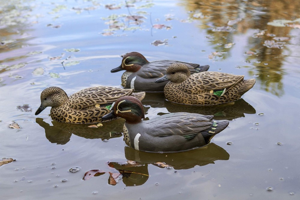 Green-Winged Teal - Floaters - 6-Pack, - - 6-Pack