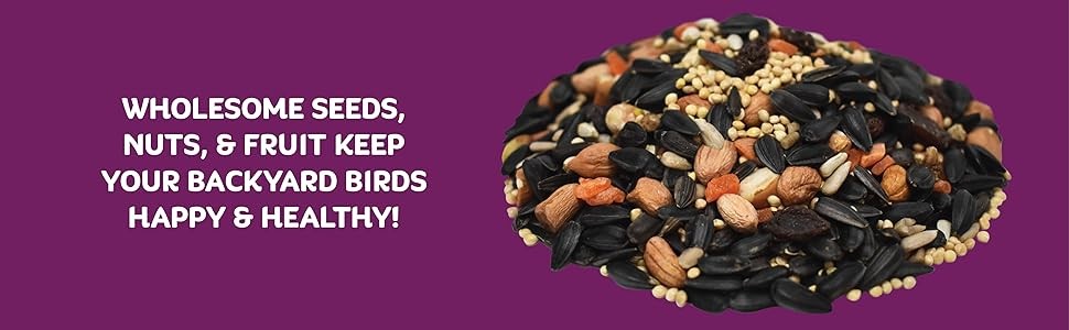 Nut & Fruit Wild Bird – 8 lb. Premium Blend with