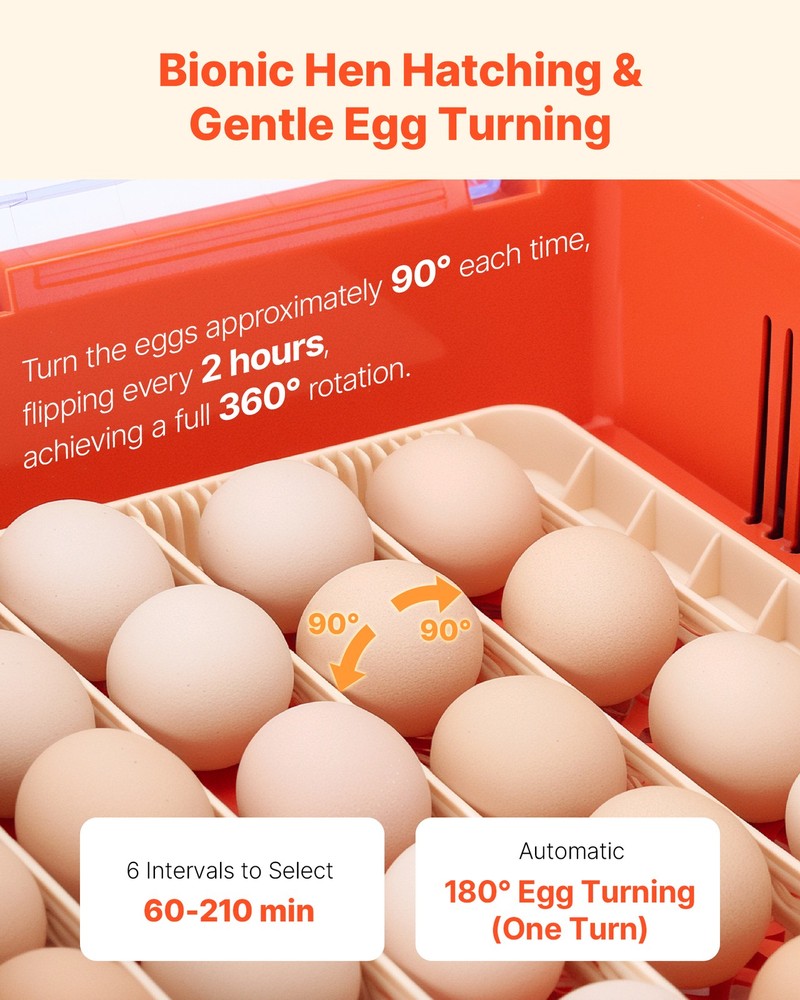 VEVOR 36 Egg Incubator Auto Turning & Water Refill Temp & Humidity Control