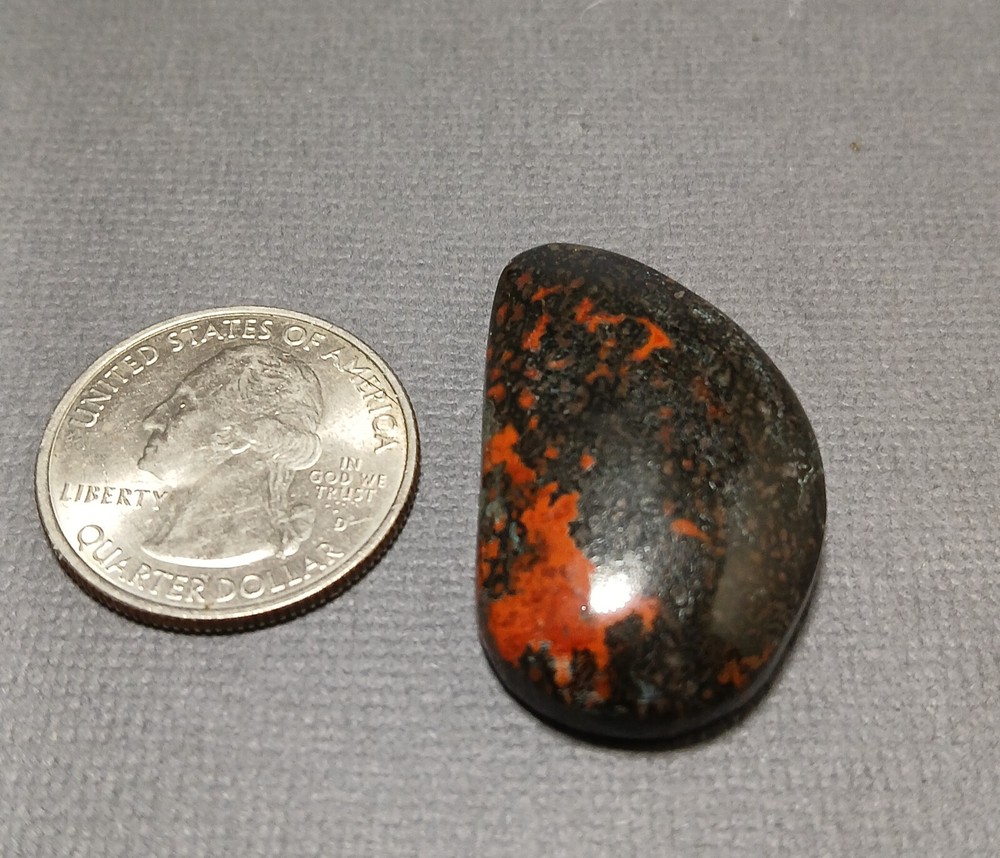 Dinosaur Bone Cabochon - With Large Red Agate Cells