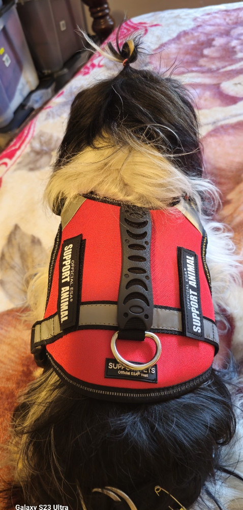 ESA SUPPORT ANIMAL