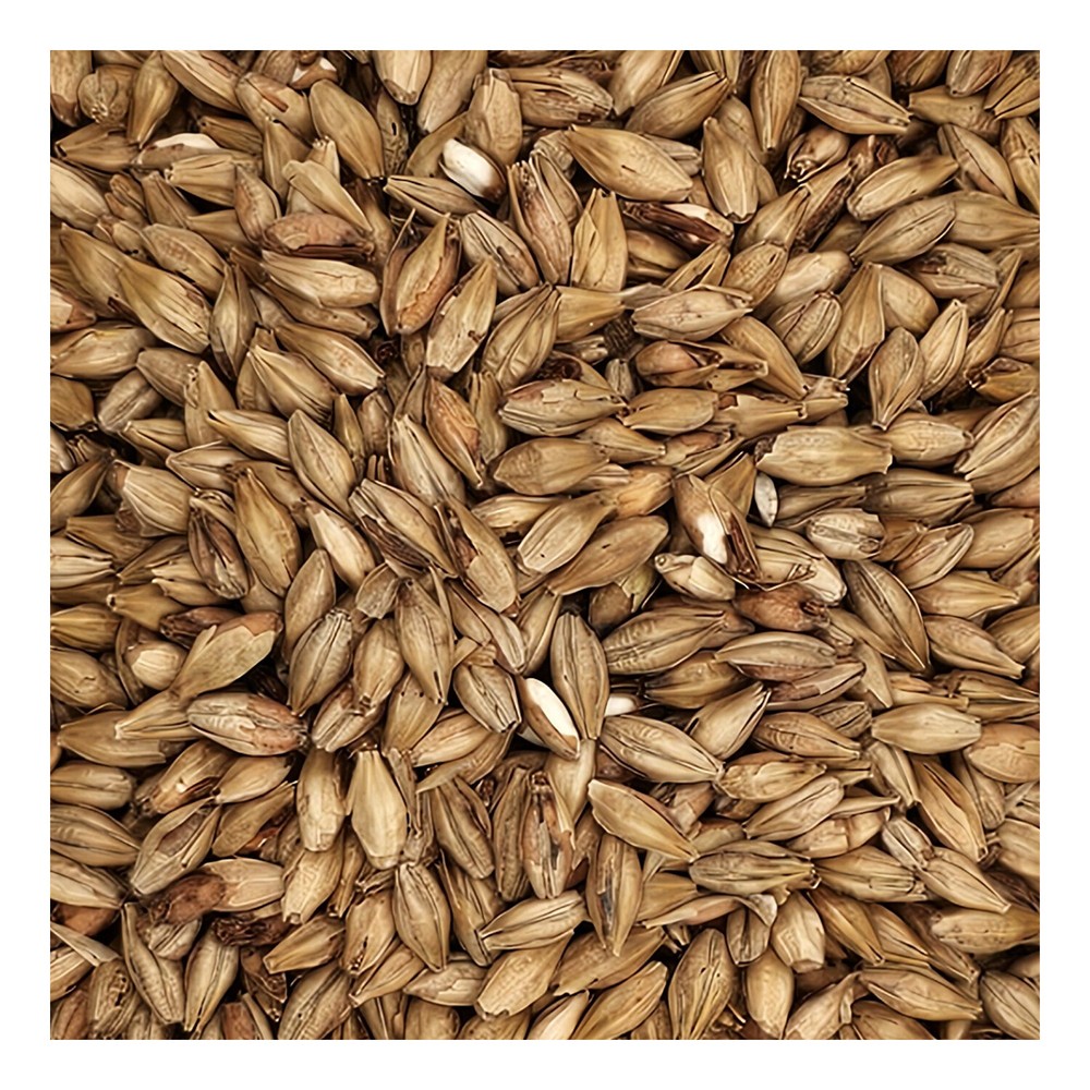 Home Brew Ohio Munich Dark 15L Grain 1lb