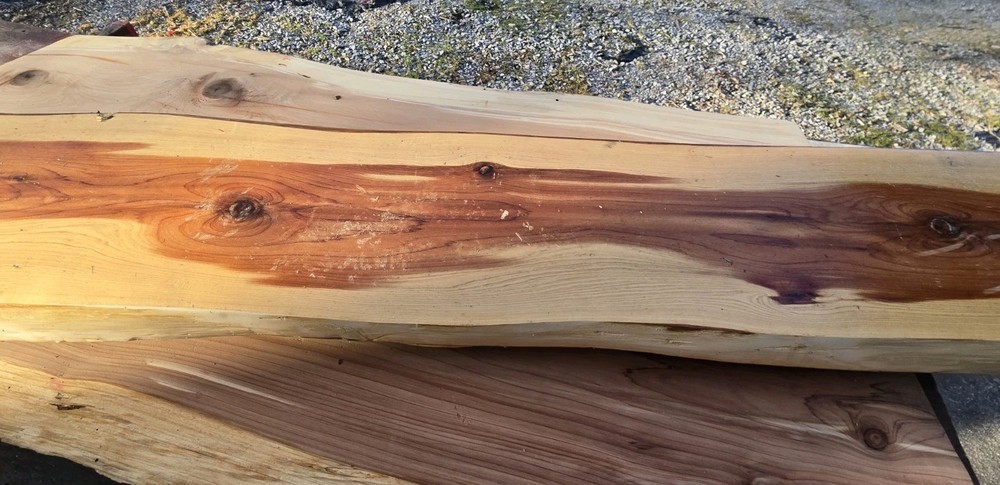 Eastern Red Cedar Live Edge Slab – 61" × 8.5" Bench / Console Top 2.5" Thick