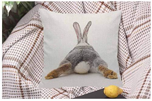 WONDERTIFY Throw Pillow Case Cover Grey Rabbit Isolated on A White Multi 93