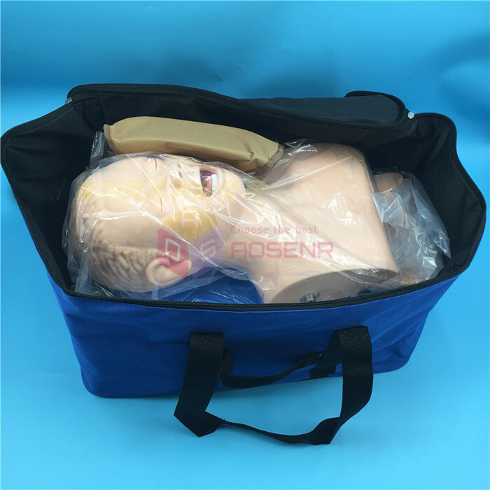 Intubation Manikin Study Teaching Model Training Manikins Patient Simulators