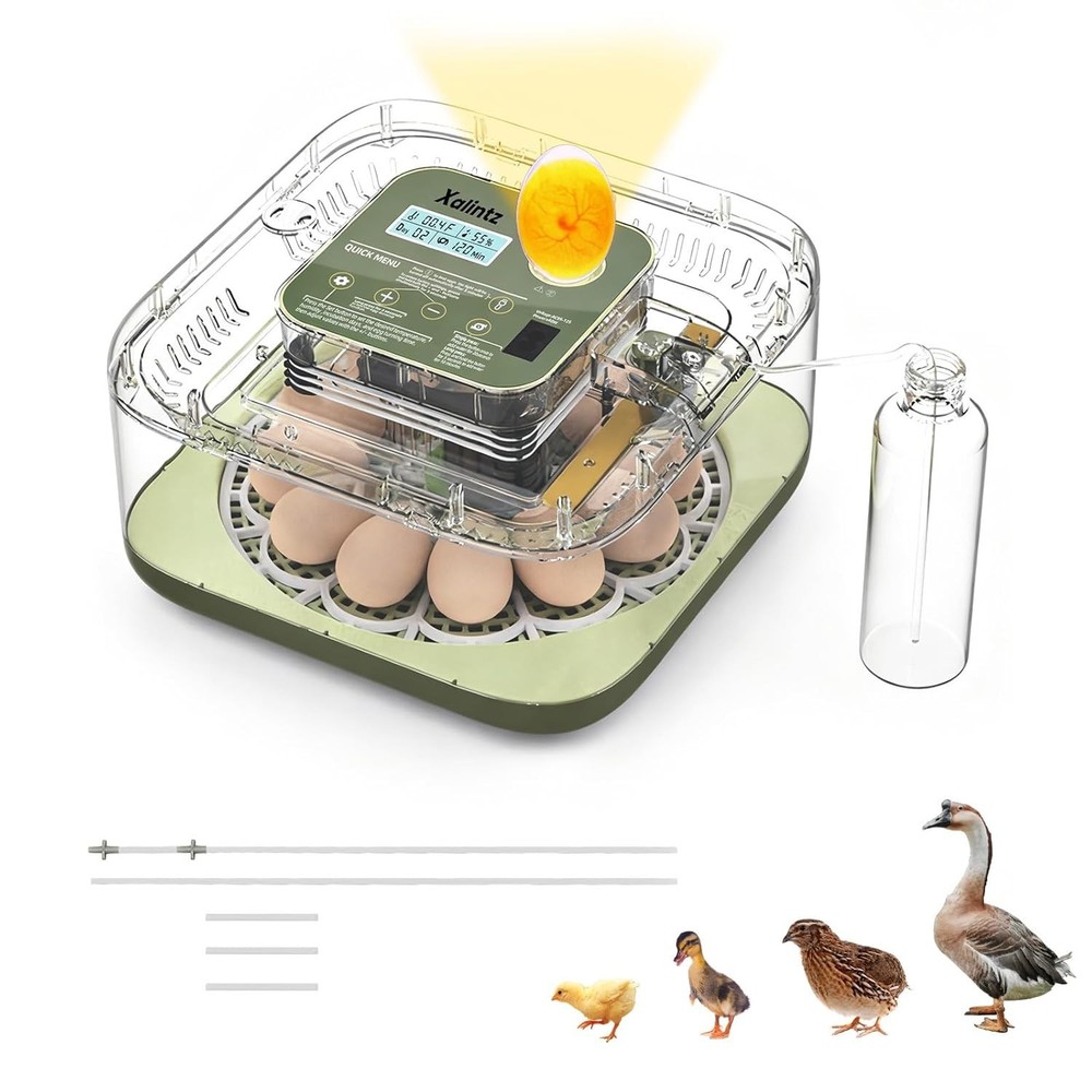 Automatic 12 Egg Incubator - Digital Temperature/Humidity Display