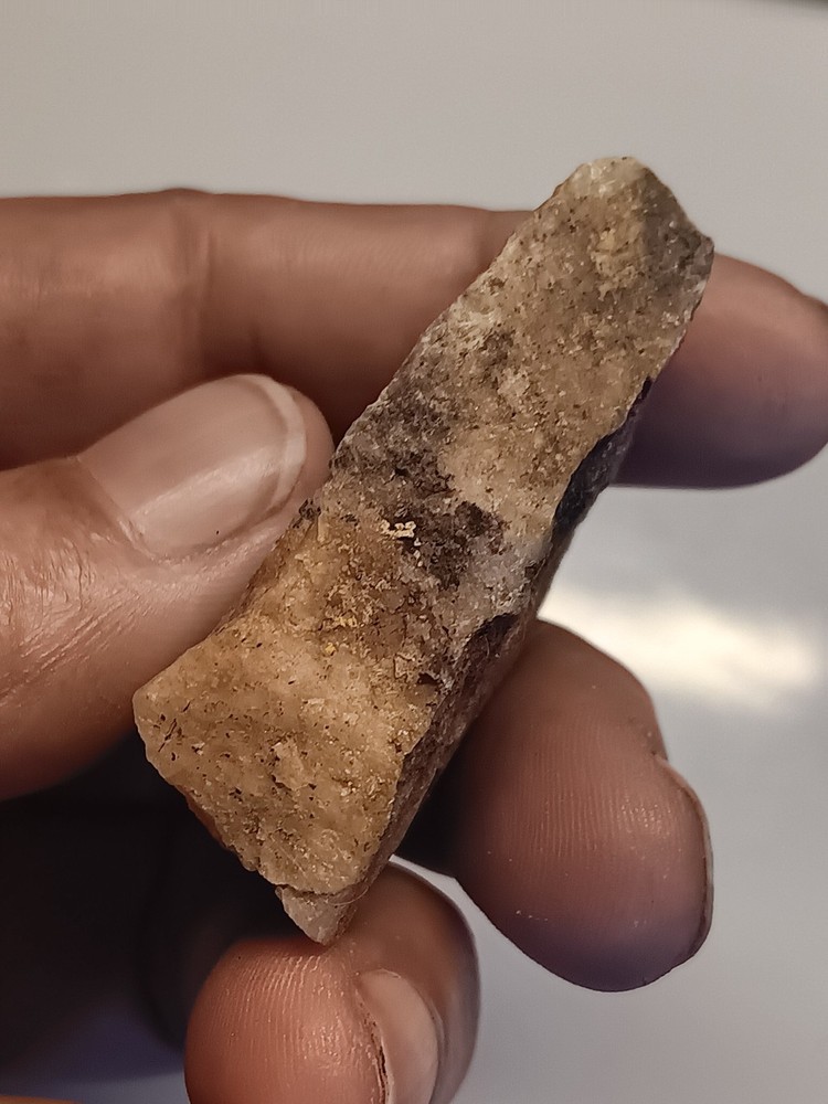 Nevada Gold Ore Sample (36 Grams Total)