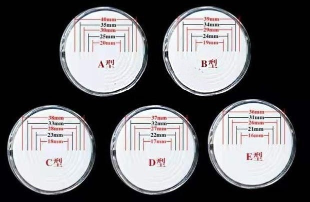 Storage Box / Protective Folder / Display Case with 24 Adjustable Coin Capsules