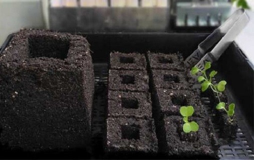 Ladbrooke Soil Blocker 3-Pc. "Basics" Nesting System. Authorized Reseller