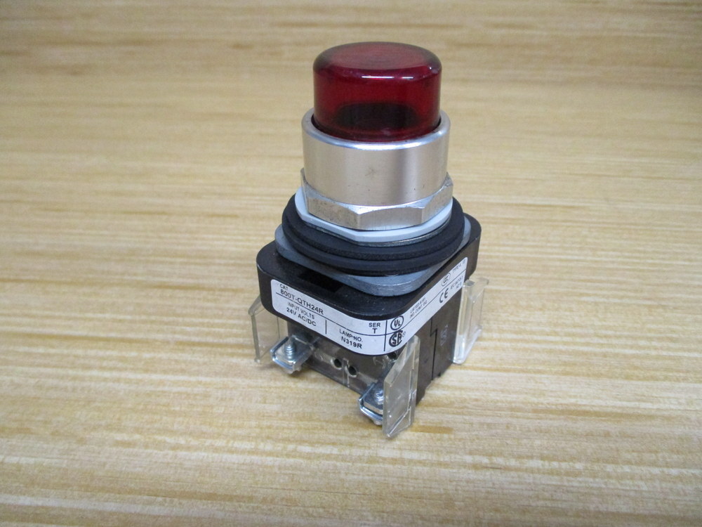 Allen Bradley 800T-QTH24R Push Button