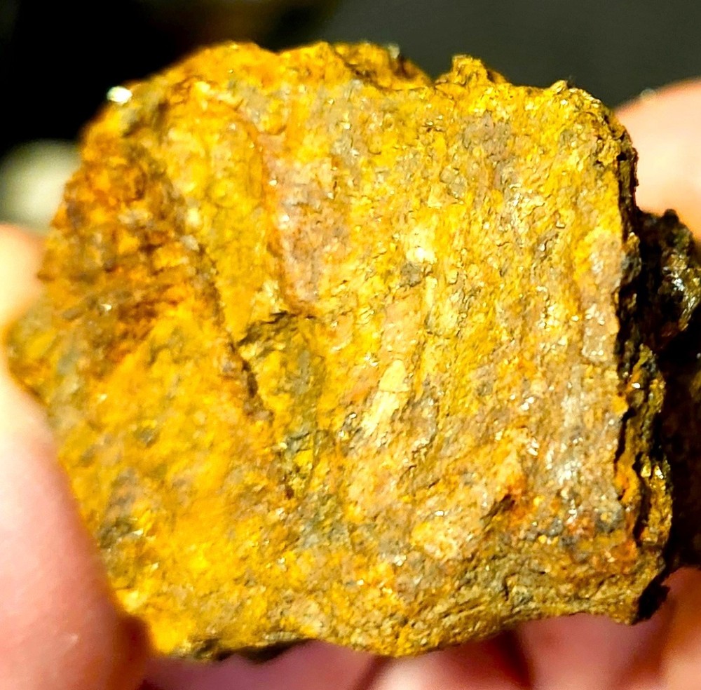 Gold Ore Specimen / Visible Gold