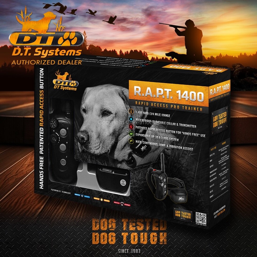 DT Systems Rapid Access Pro Trainer RAPT 1400