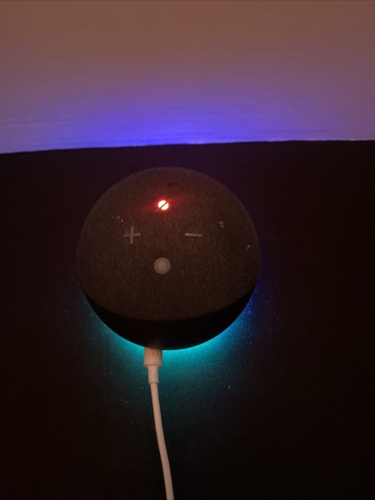 Amazon Echo Dot (4th Gen.) Smart Speaker - Charcoal Black Pre-Owned Tested 🔥