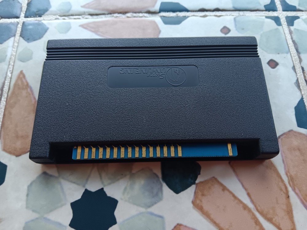 Commodore Vic 20 Lunar Leeper Cartridge Tested/Works