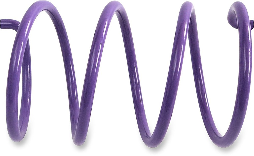EPI Purple Secondary Clutch Spring (ACSS-5)