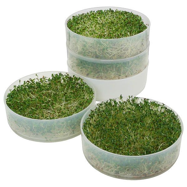 Kitchen Crop 4-Tray Seed Sprouter