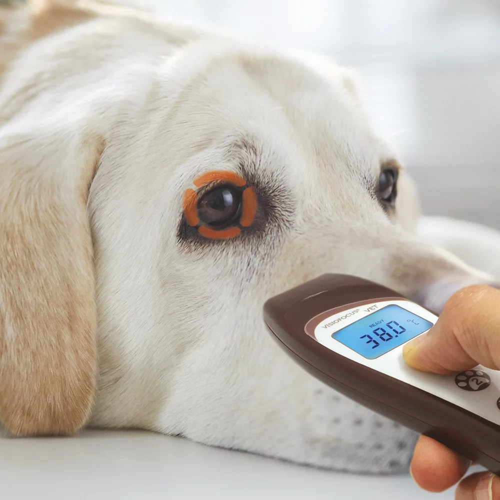 VisioFocus VET thermometer
