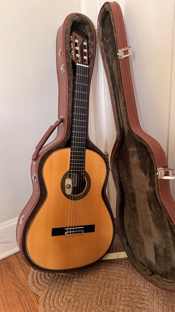 flamenco guitar
