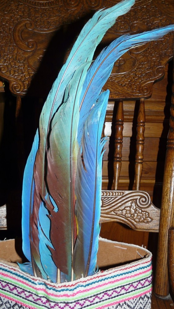 SHIPIBO PERU AMAZON INDIAN HEADDRESS