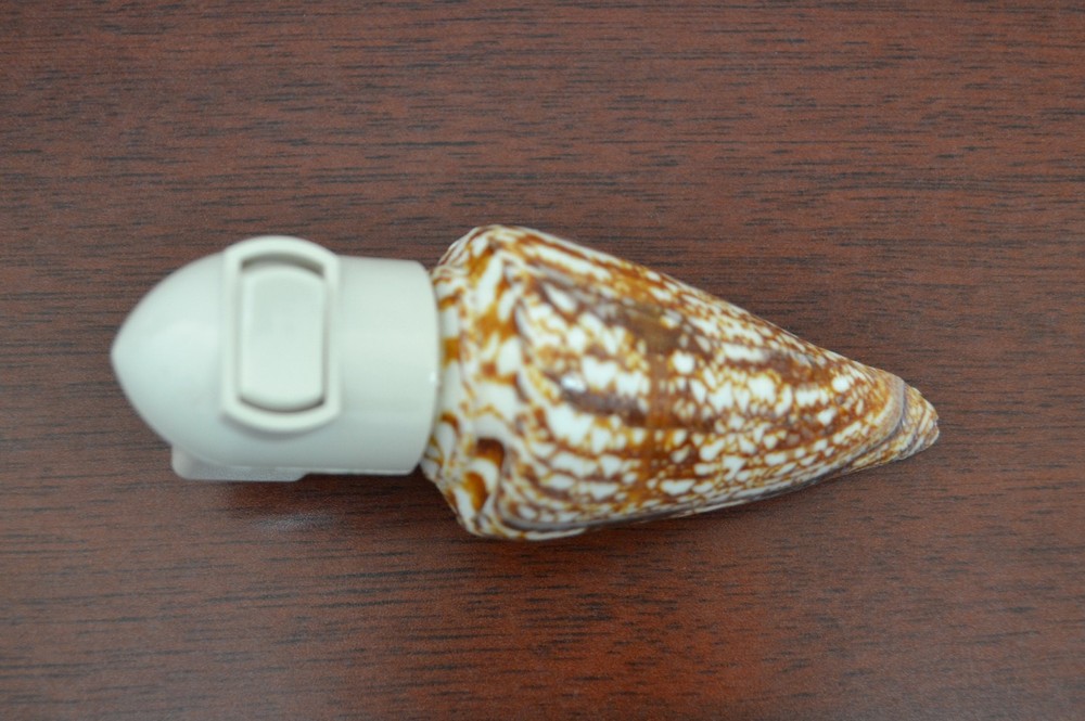 CONUS GEOGRAPHUS SEA SHELL NIGHT LIGHT BATHROOM KITCHEN #7910