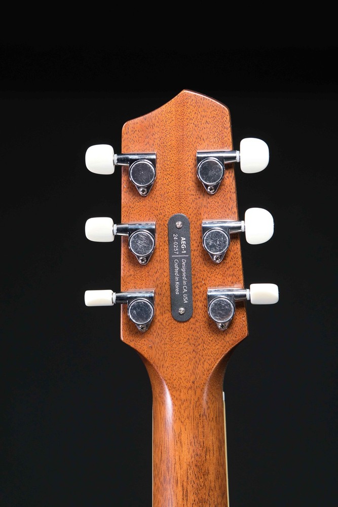 LR Baggs AEG-1 Torrefied Top